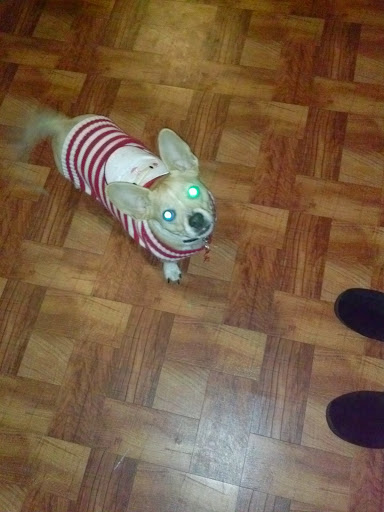 Public Golf Course «Neshaminy Valley Golf Club - OPEN to PUBLIC», reviews and photos, 440 Almshouse Rd, Richboro, PA 18954, USA