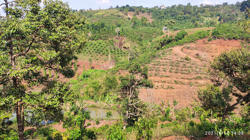 Thung lũng XANH - Green Valley