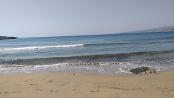Photo de Lara beach South situé dans une zone naturelle