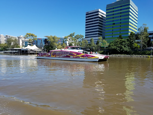 Travel Agency «About Australia», reviews and photos, 226 W Rector #1, San Antonio, TX 78216, USA