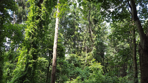 Nature Preserve «Beechwood Farms Nature Reserve», reviews and photos, 614 Dorseyville Rd, Pittsburgh, PA 15238, USA