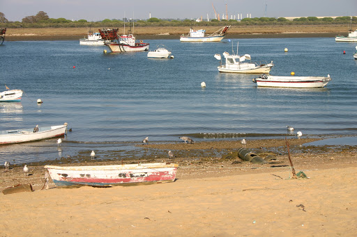 Club de Piragüismo Punta Umbria en Punta Umbría, Huelva