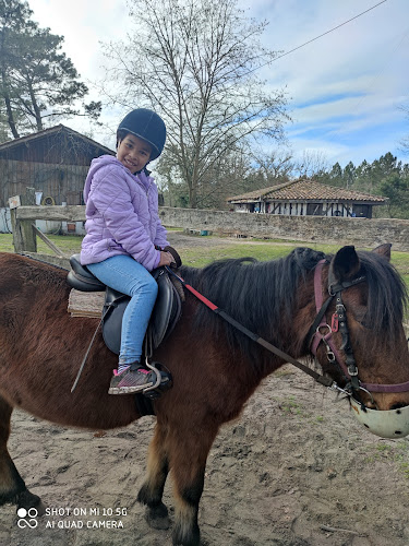 LE RANCH D ELVIRE à Trensacq