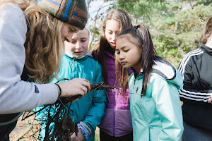 The Ecology School