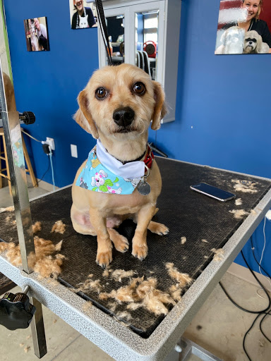 Pet Store «Healthy Pets Mountain West», reviews and photos, 2352 Fort Union Blvd, Cottonwood Heights, UT 84121, USA