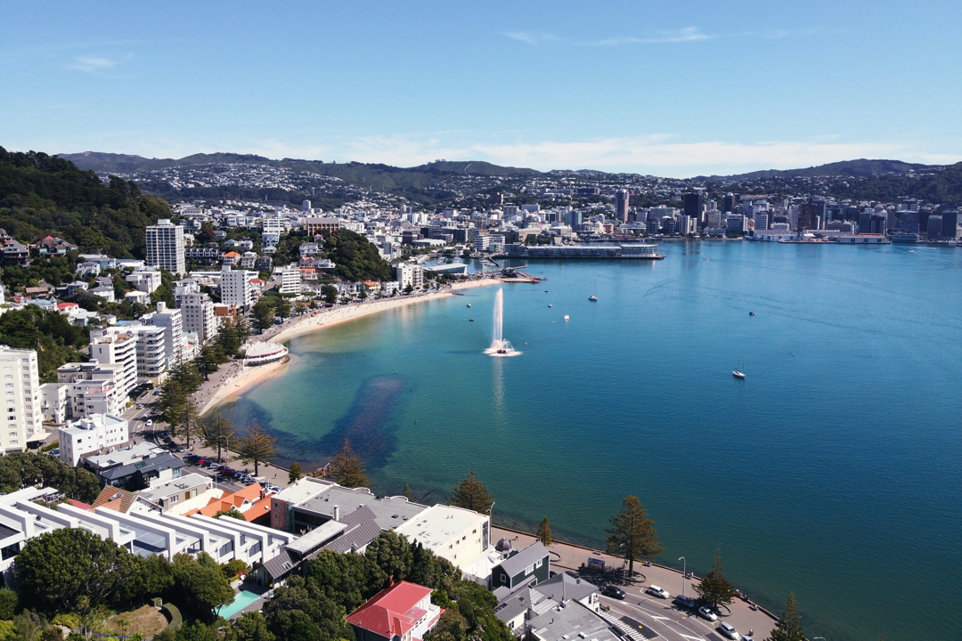 Freyberg Beach photo #8