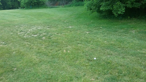 Golf Course «Pine Hills Golf Course», reviews and photos, 6603 Woodbury Rd, Laingsburg, MI 48848, USA