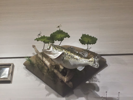 Outdoor Sports Store «Field & Stream», reviews and photos, 60 Old Mill Blvd, Washington, PA 15301, USA