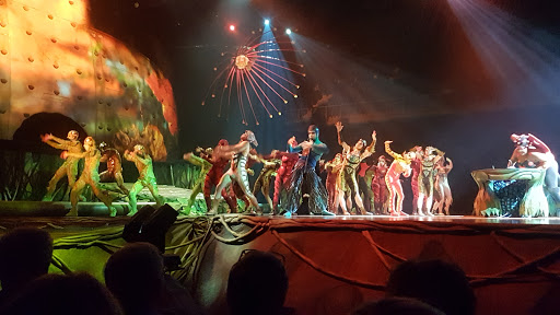 Spectacles de cirque en Antwerp