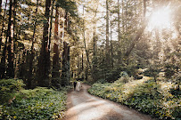 Evynn LeValley Photography - Photo 3 - Car repair in Carmel-By-The-Sea, CA, Seaside