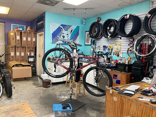 Bicycle Store «City Bike Tampa», reviews and photos, 208 E Cass St, Tampa, FL 33602, USA
