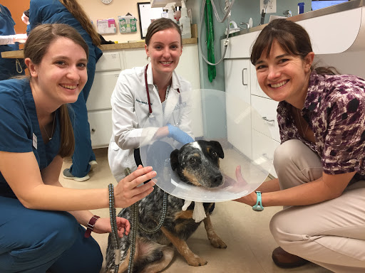 Baxter Veterinary Clinic image
