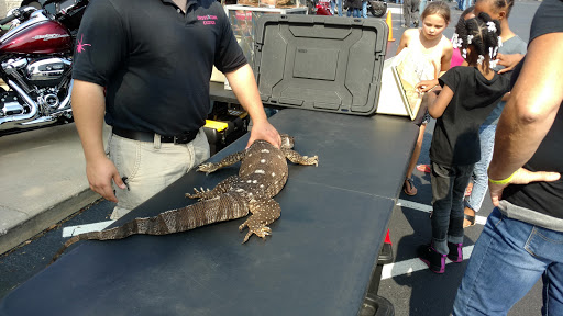 Motorcycle Dealer «Phantom Harley-Davidson», reviews and photos, 291 N Cypress Dr, Manteno, IL 60950, USA