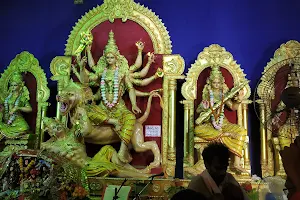 S Type Durga Puja Maidan image