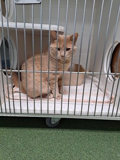 Venango County Humane Society