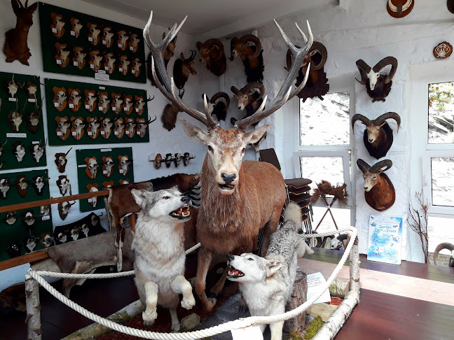 Reacties en beoordelingen van Erlebnismuseum Lernort Natur