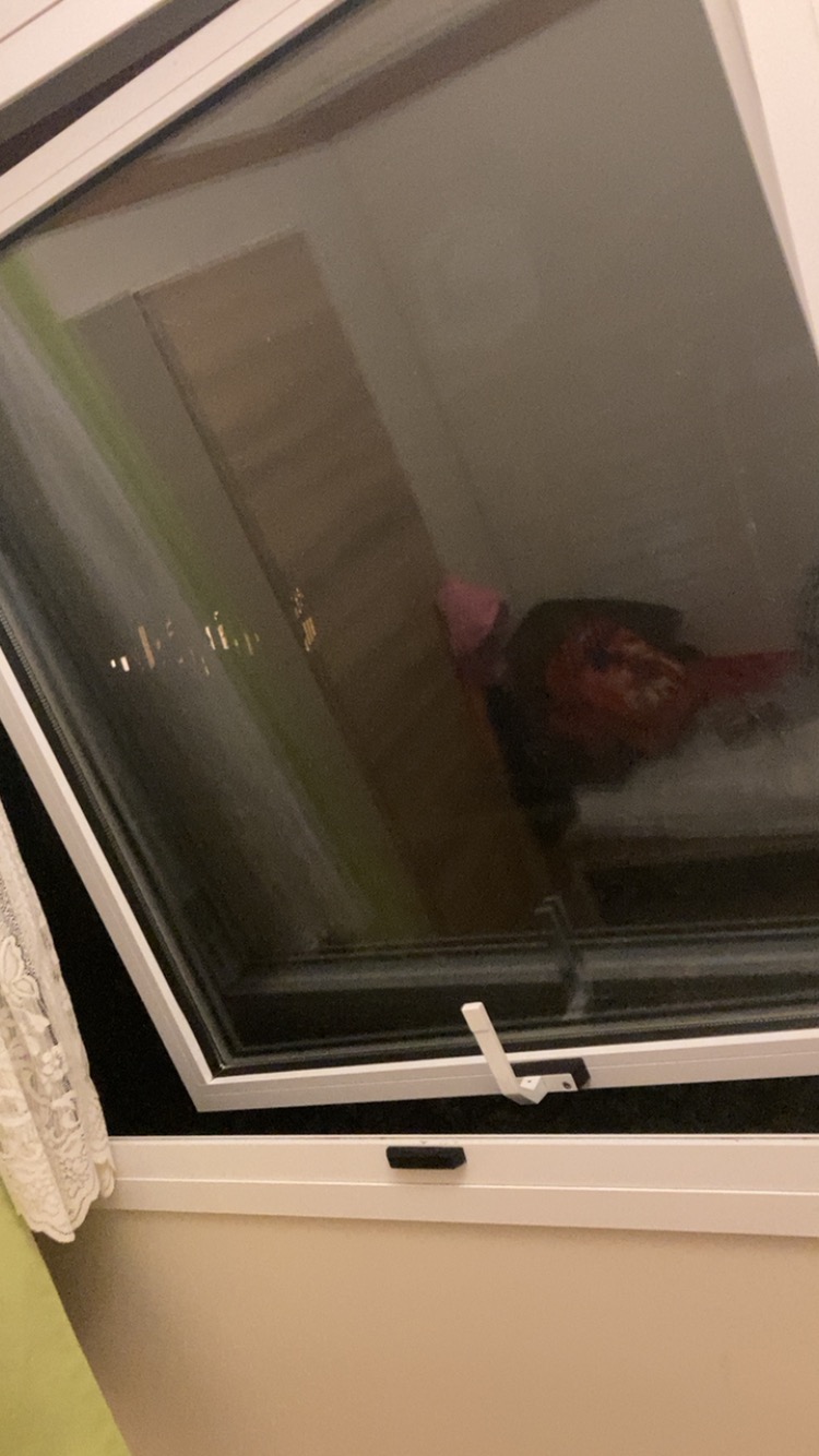 Photo n° 1 de l'avis de Marlène.e fait le 28/08/2023 à 16:52