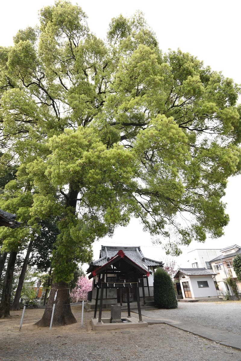 諏訪神社