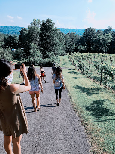 Winery «Six Mile Creek Vineyard», reviews and photos, 1551 Slaterville Rd, Ithaca, NY 14850, USA