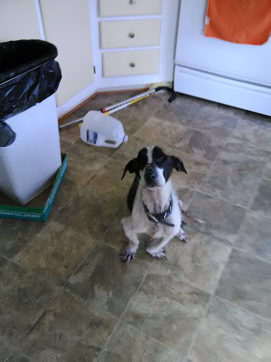 Total Community Credit Union, 25155 Goddard Rd, Taylor, MI 48180, Credit Union