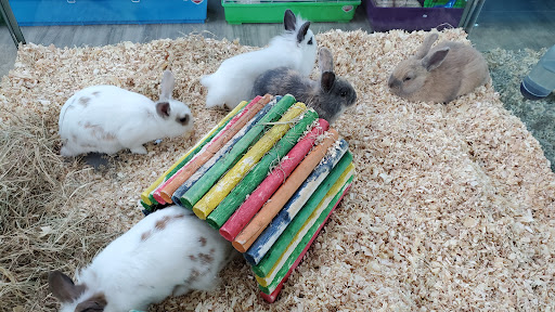 Pet Store «Incredible Pets Inc», reviews and photos, 2255 N Wickham Rd # 102, Melbourne, FL 32935, USA