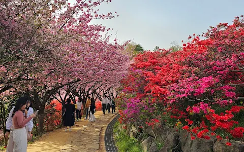 Wansan Park image