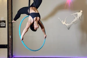 Academy of Aerial Fitness image