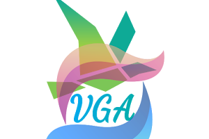VGA image