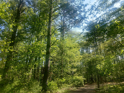 Campground «Lorraine Park Campground», reviews and photos, 133 Jenkins Rd, Andover, MA 01810, USA