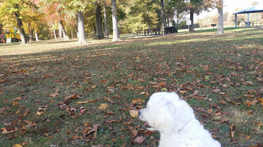 Public Golf Course «Calvert Road Park Disc Golf», reviews and photos, Campus Drive, College Park, MD 20740, USA