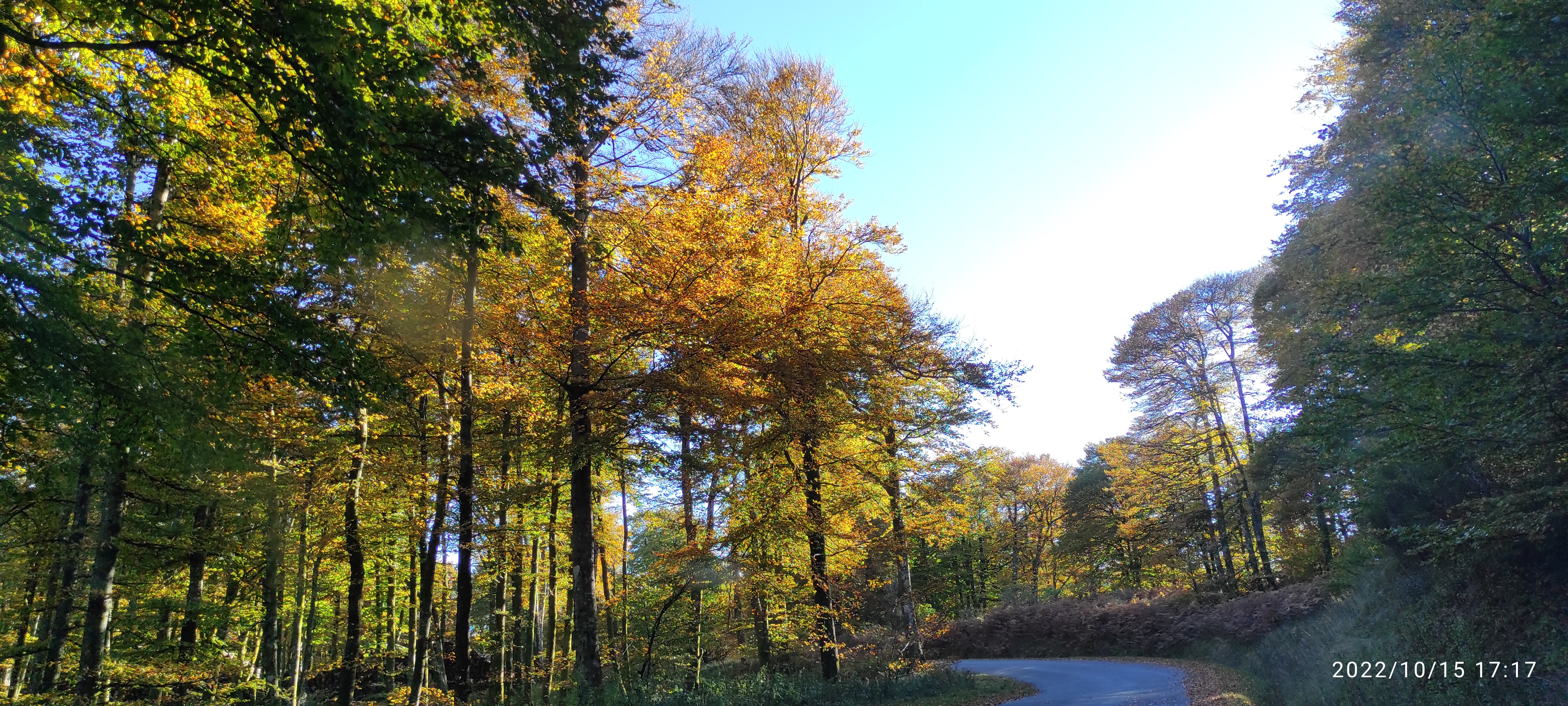 Photo n° 7 de l'avis de Joseph.o fait le 21/10/2022 à 16:43