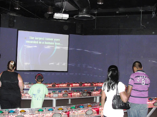 Museum «Guinness World Records Museum», reviews and photos, 329 Alamo Plaza, San Antonio, TX 78205, USA