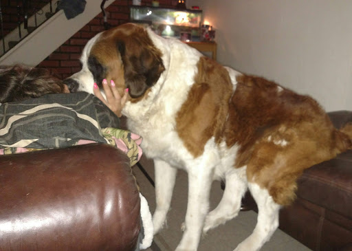 Pet Supply Store «Pet Supplies Plus», reviews and photos, 3100 Manchester Rd, Akron, OH 44319, USA