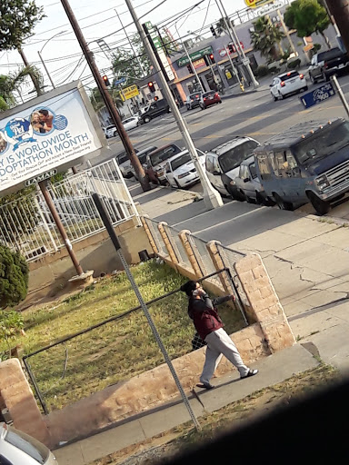 Ice Cream Shop «Boston Cream Doughnut», reviews and photos, 1009 W Anaheim St, Wilmington, CA 90744, USA