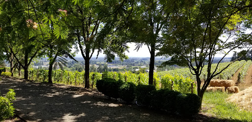 Winery «Bergström Winery & Tasting Room», reviews and photos, 18215 NE Calkins Ln, Newberg, OR 97132, USA