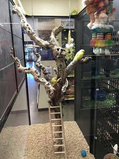 Pet Supply Store «PetSmart», reviews and photos, 13764 W Bell Rd, Surprise, AZ 85374, USA