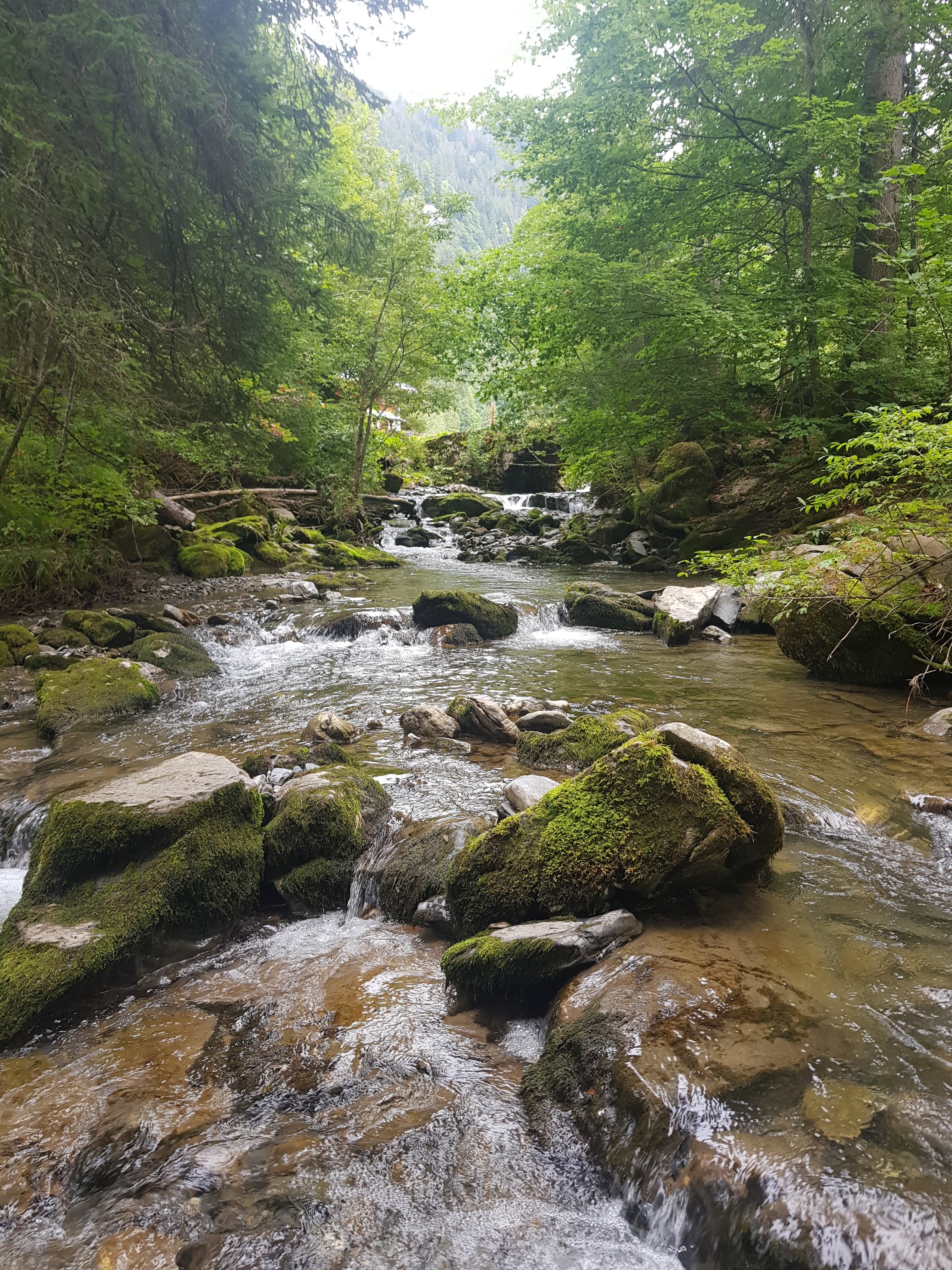 Photo n° 1 de l'avis de Vincent.e fait le 19/09/2019 à 11:09