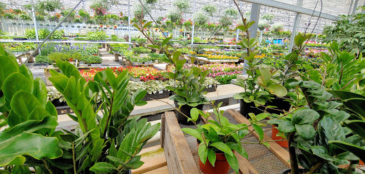 Florist «The Garden», reviews and photos, 155 Main St N, Woodbury, CT 06798, USA