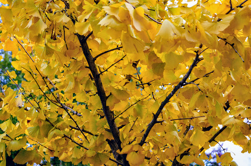 Produce Market «Madison Produce», reviews and photos, 132 E Washington St, Madison, GA 30650, USA