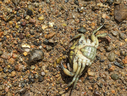 Park «Obear Park», reviews and photos, 145 Livingstone Ave, Beverly, MA 01915, USA