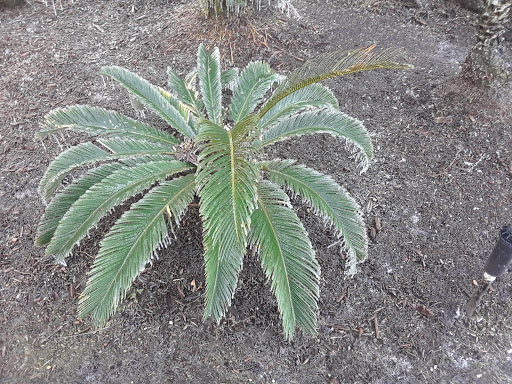 Animal Protection Organization «Fantasy Farms Animal Preserve», reviews and photos, 194 S Roscoe Blvd, Ponte Vedra Beach, FL 32082, USA