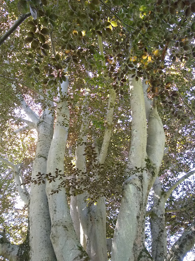 Tourist Attraction «Governor Ames Estate», reviews and photos, 35 Oliver St, North Easton, MA 02356, USA