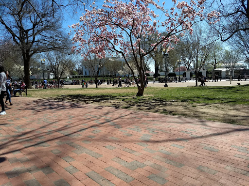 Park «Lafayette Square», reviews and photos, Pennsylvania Ave NW & 16th Street Northwest, Washington, DC 20001, USA