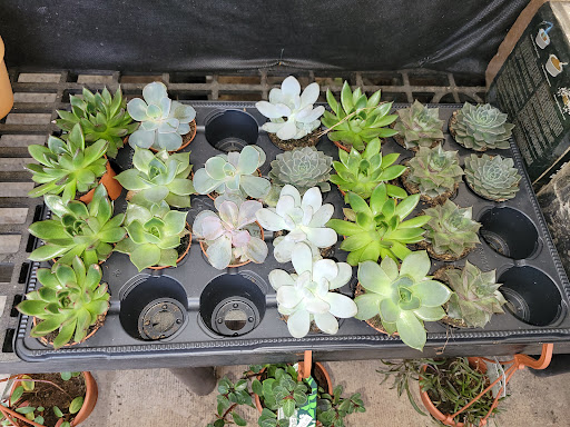 Florist «Cityside Flowers - Metropolitan Wholesale», reviews and photos, 285 N Midland Ave, Saddle Brook, NJ 07663, USA