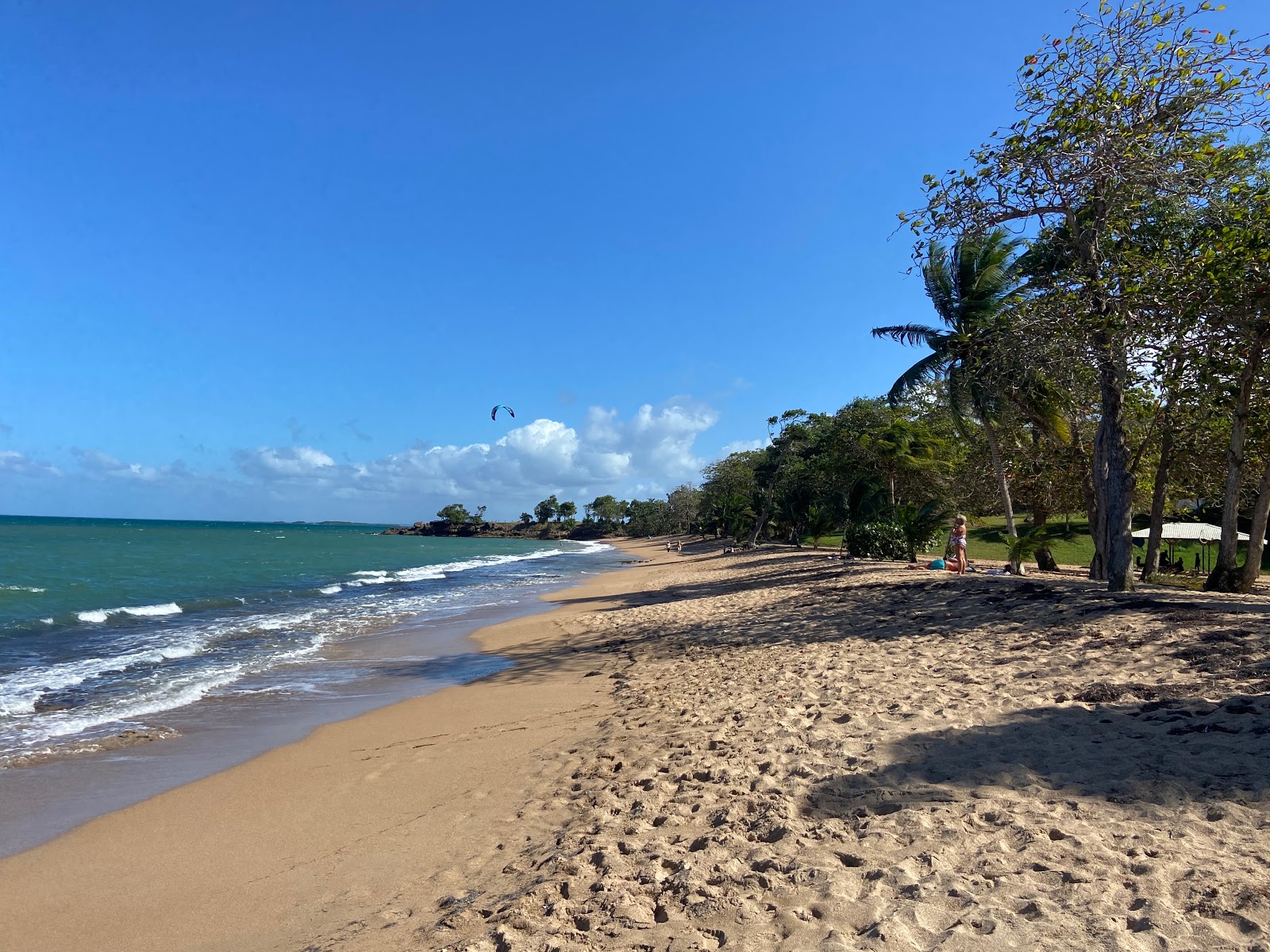 Photo de Plage des Amandiers avec sable fin brun de surface