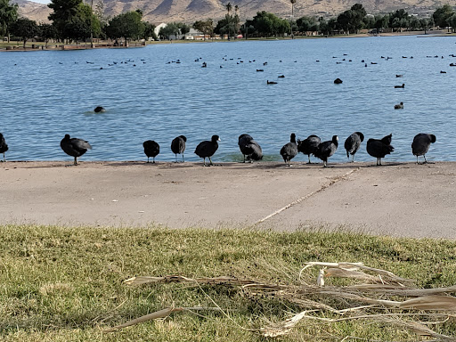 Park «Cesar Chavez Park», reviews and photos, 7858 S 35th Ave, Laveen Village, AZ 85339, USA