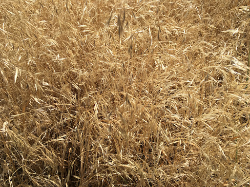 Park «Cherry Creek Valley Ecological Park», reviews and photos, 7500 S Jasper Ct, Centennial, CO 80112, USA