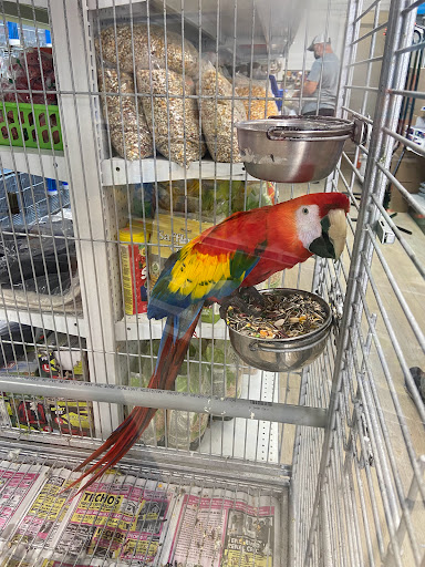 Pet Supply Store «Neighborhood Pet Shop», reviews and photos, 574 Hialeah Dr, Hialeah, FL 33010, USA