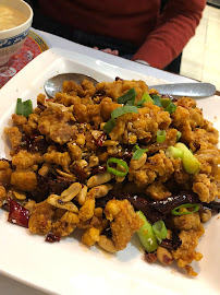 Poulet Kung Pao du Restaurant chinois Restaurant Tian Fu à Paris - n°11