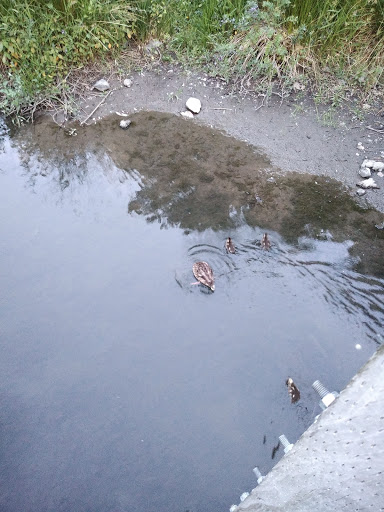 Park «Center Street Park», reviews and photos, 11895 SW Center St, Beaverton, OR 97005, USA